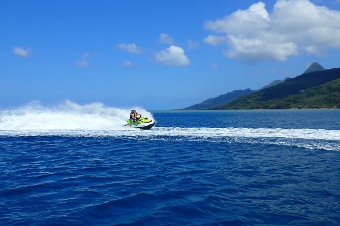 Private tour observing and swimming with humpback whales in Moorea - Safety, swimming ability, and comfort