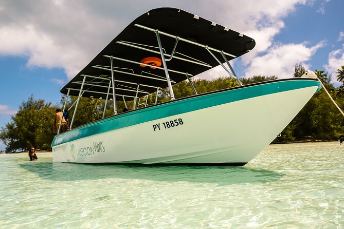Private tour whale watching and snorkeling in Moorea - When the lagoon plan is the sensible choice