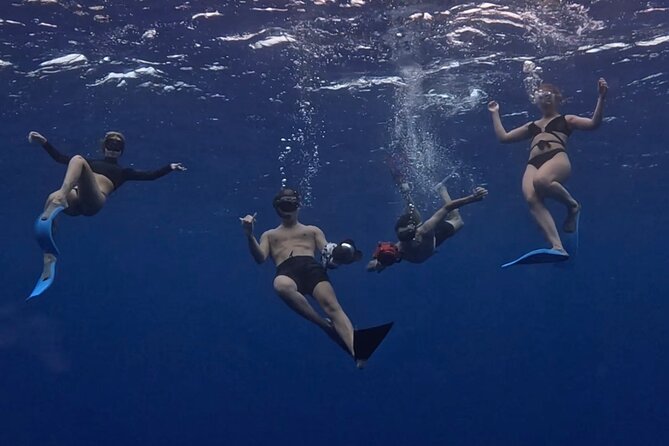 Private Whale Watching Adventure in Mo'orea - Why a private whale trip makes sense in Moorea