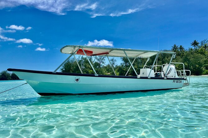 Private Whale Watching Adventure in Mo'orea - Watching from the boat is a real alternative