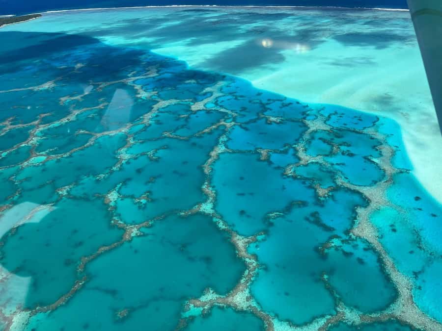 Raiatea: Bora Bora and Taha'a Private Scenic Flight one hour - Should you book the Raiatea scenic flight?