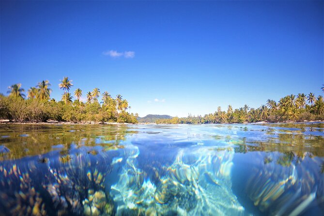 Raiatea-Tahaa Snorkeling in our beautiful Coral Garden - A useful outing for cautious snorkelers