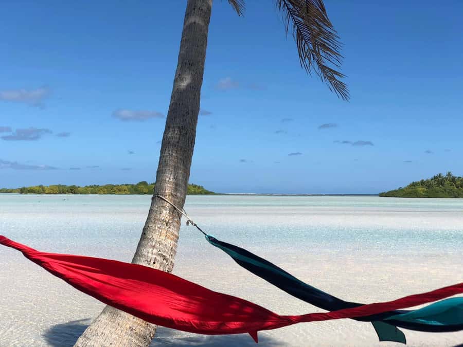Rangiroa: Blue Lagoon Tiputa Pass Coral Garden Island Birds - Why this Rangiroa day works so well