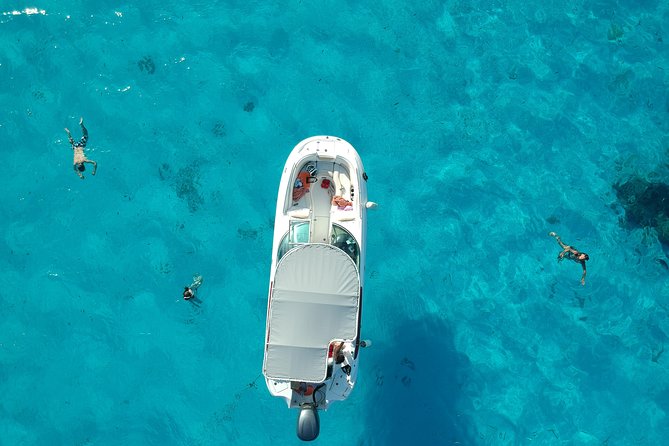Reef Discovery Half Day Group Signature Tour - Key points at a glance