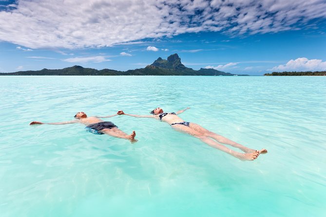 Reef Discovery Half Day Group Signature Tour - Boat comfort, group size, and time in the water