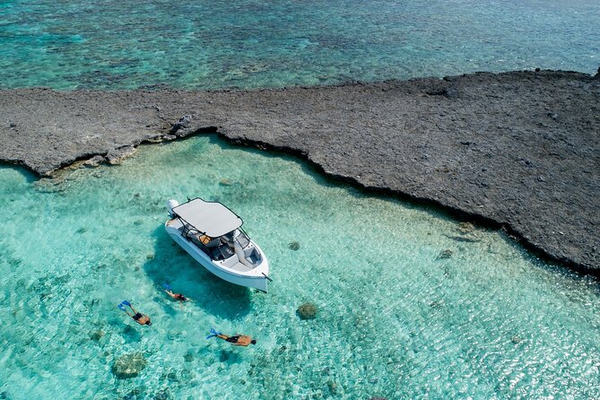 Reef Discovery Luxury Private Snorkeling Lagoon Tour - Snorkeling with a naturalist guide