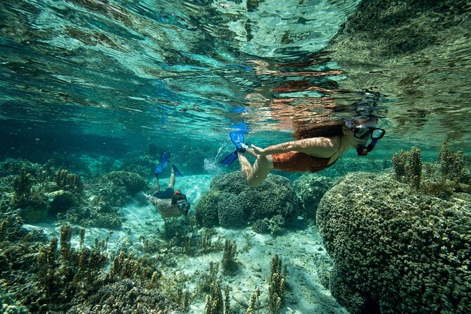 Reef Discovery Luxury Private Snorkeling Lagoon Tour - Snacks, water, and the value of the included extras