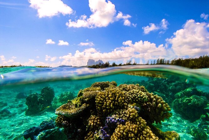 Reef Discovery Private Full Day Lagoon Tour & Water Lunch - Who will get the most from this outing?