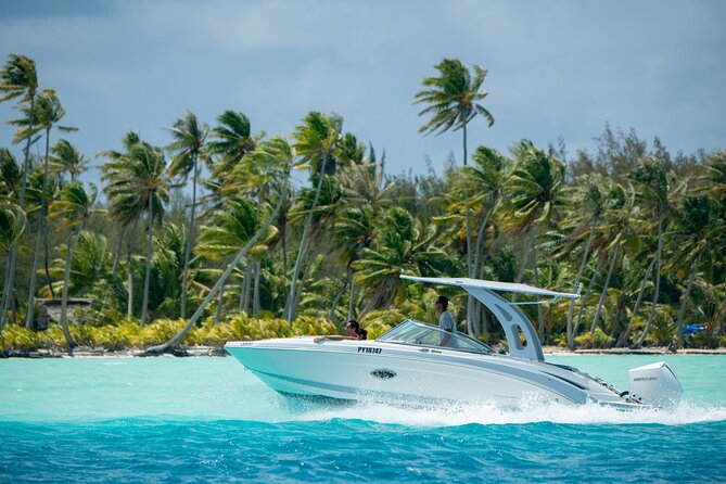 Reef Discovery Private Half Day Lagoon Tour - Key points to know before booking