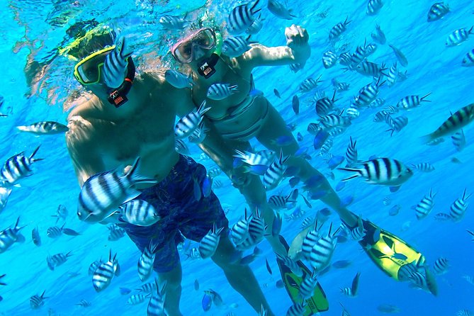 Reef Discovery Private Half Day Lagoon Tour - What this private Bora Bora lagoon trip is really about