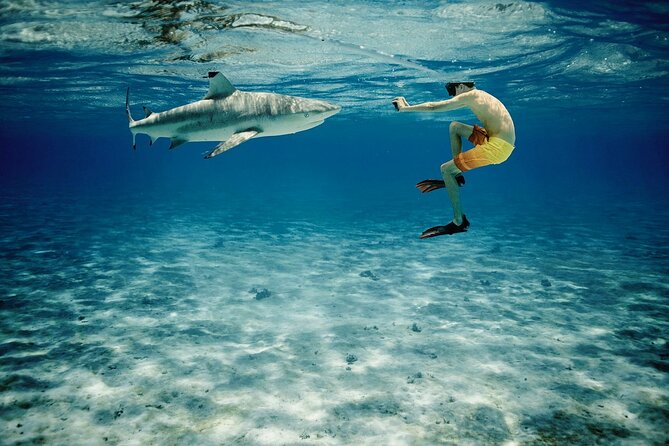 Reef Discovery Private Half Day Lagoon Tour - Weather, cancellations, and the value of flexibility