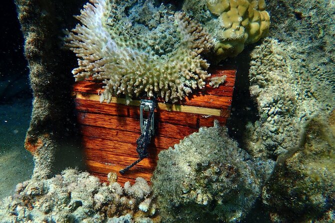 Reef Discovery Private Treasure Hunt - The shipwreck and the final pirate treasure