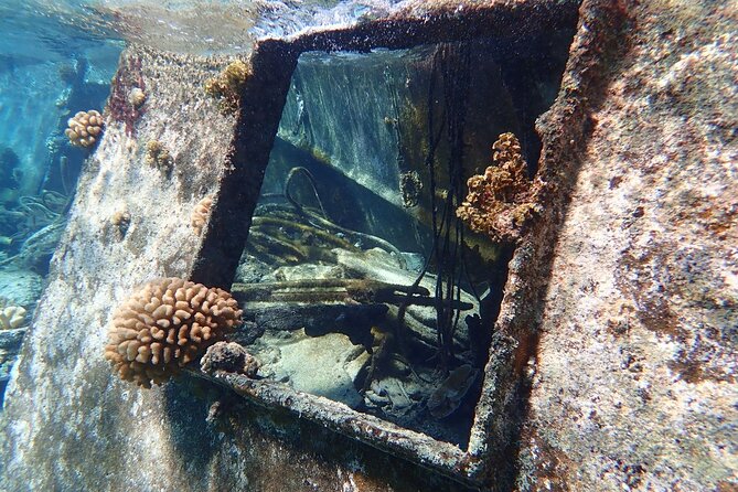 Reef Discovery Private Treasure Hunt - How guide Mana shapes the experience