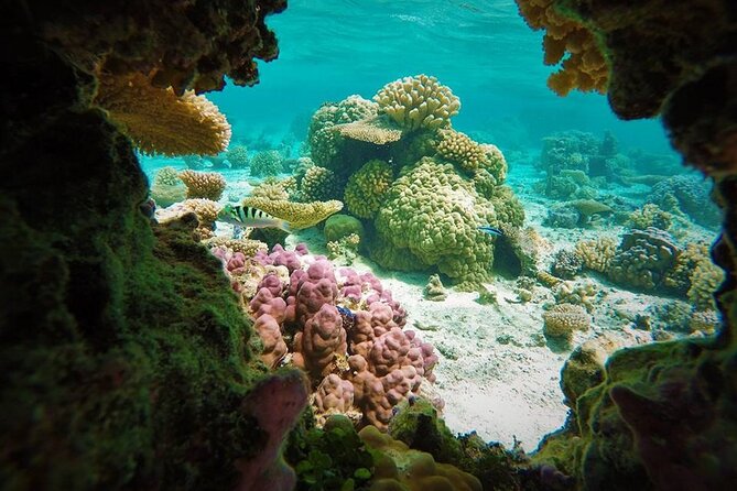 Reef Discovery Private Treasure Hunt - Stop one: beginning the hunt around the reef