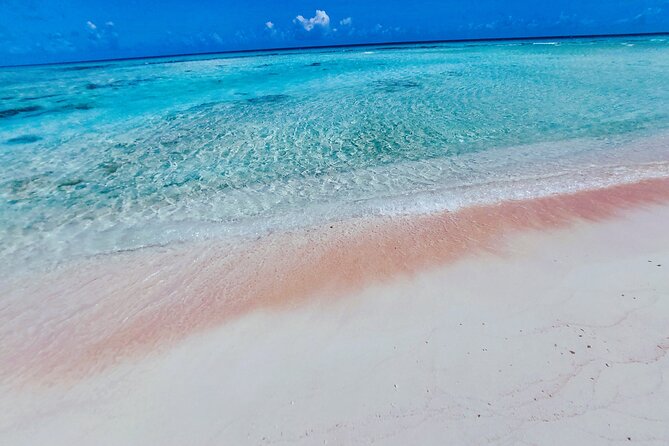 REEF ISLAND | private island | pink sand | natural swimming pools - Walking the feo and finding the natural pools