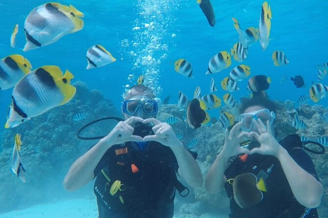 Romantic Dive for beginners in Bora Bora (2 people) with Video - Key points at a glance