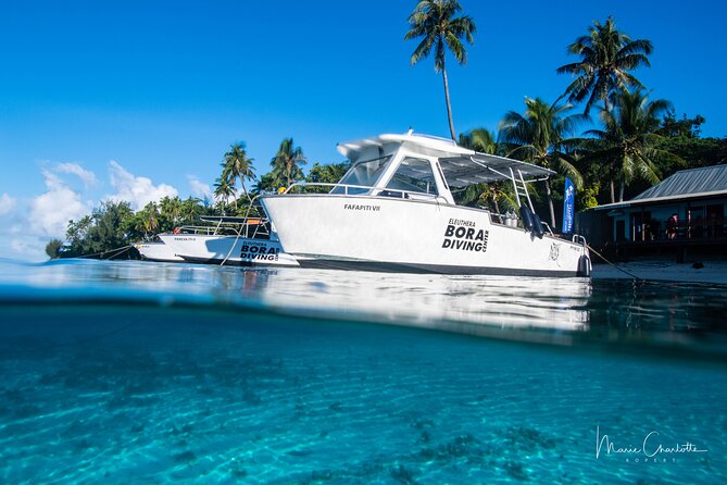 Romantic Dive for beginners in Bora Bora (2 people) with Video - The black pearl is a distinctly Polynesian souvenir