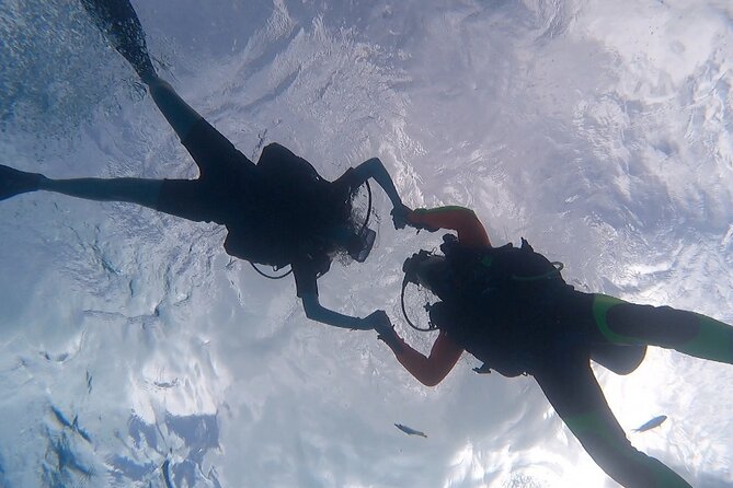 Romantic Dive for beginners in Bora Bora (2 people) with Video - Is $491.54 fair for two people?