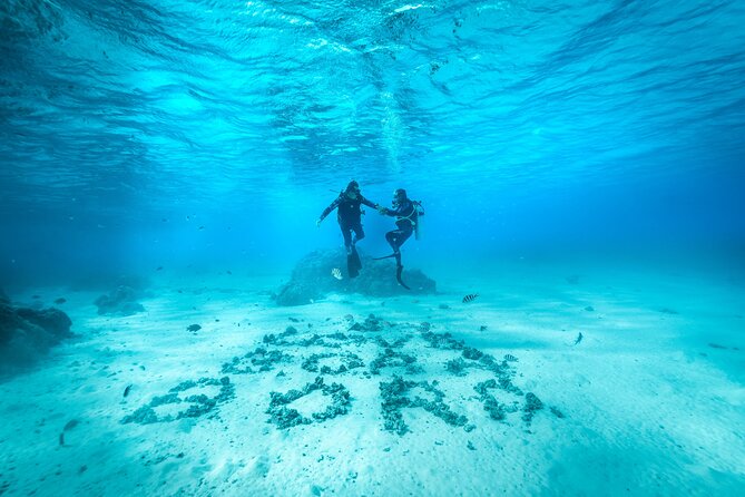 Romantic dive in the lagoon of Bora Bora. Private instructor on a shared boat - The key details at a glance
