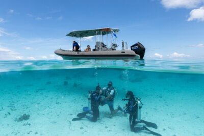 Romantic dive in the lagoon of Bora Bora. Private instructor on a shared boat