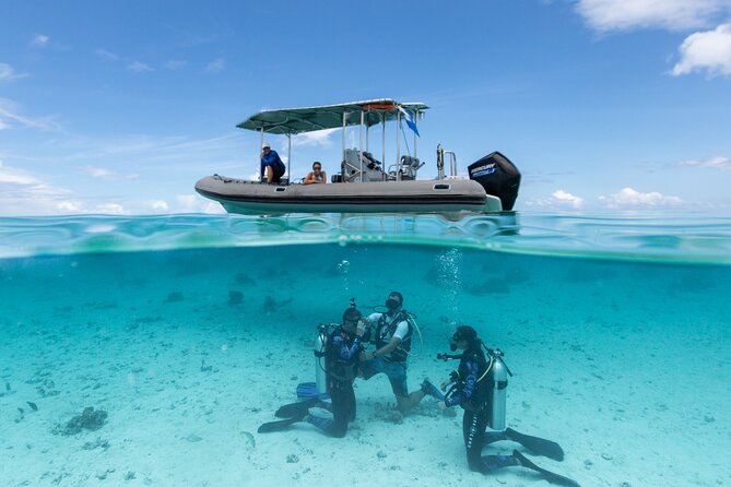 Romantic dive in the lagoon of Bora Bora. Private instructor on a shared boat - Crossing the lagoon on a shared boat