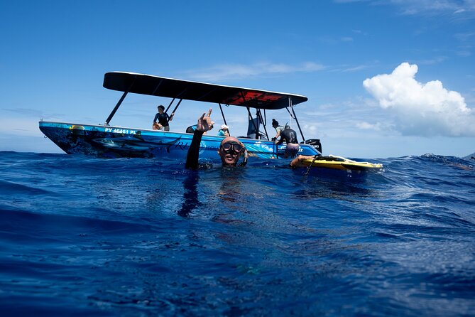 Sacred Experience Swimming with a Whale in Moorea - Why this Moorea whale trip feels different