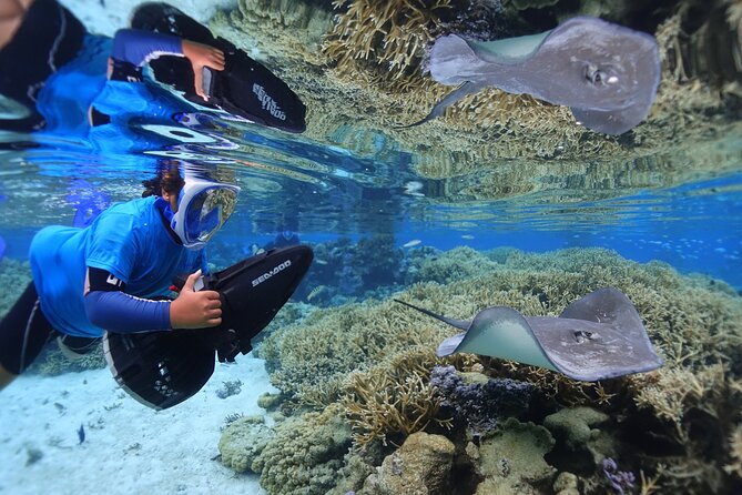 Sea Scooter Jet Snorkeling "Moorea Dream Adventure" - Three stops, three different views of Moorea’s lagoon