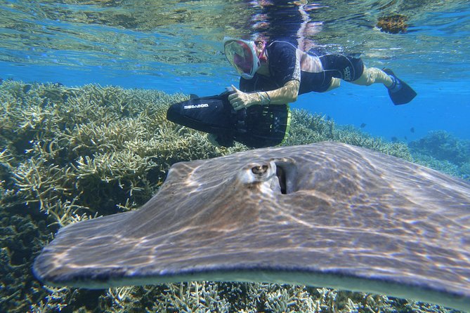 Sea Scooter Jet Snorkeling "Moorea Dream Adventure" - What the crew adds to the morning