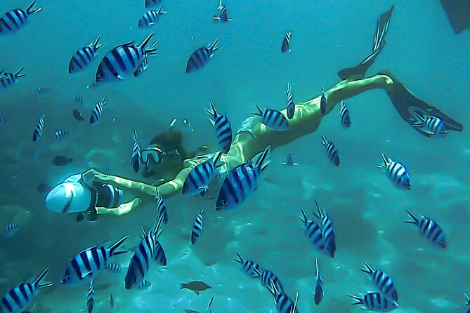 Sea Scooter Snorkel Tour - Lagoon Discovery : Wrecks, Coral Gardens and Tropical Fishies - Key points to know before booking