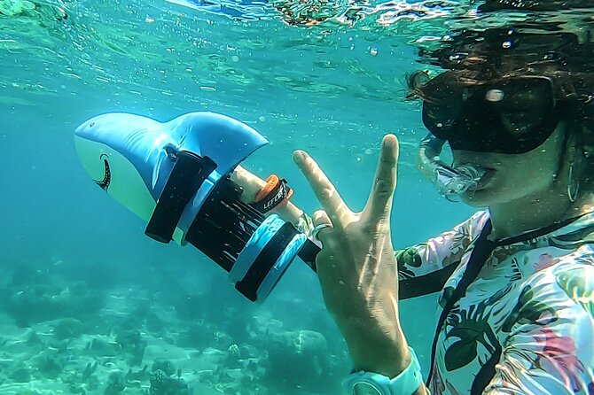 Sea Scooter Snorkel Tour - Lagoon Discovery : Wrecks, Coral Gardens and Tropical Fishies - A chance to see humpback whales from the boat