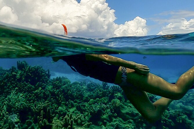 Sea Scooter Snorkel Tour - Lagoon Discovery : Wrecks, Coral Gardens and Tropical Fishies - What the $109 price really covers