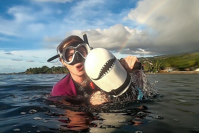 Sea Scooter Snorkel Tour - Lagoon Discovery : Wrecks, Coral Gardens and Tropical Fishies - Plane and boat wrecks beneath the lagoon