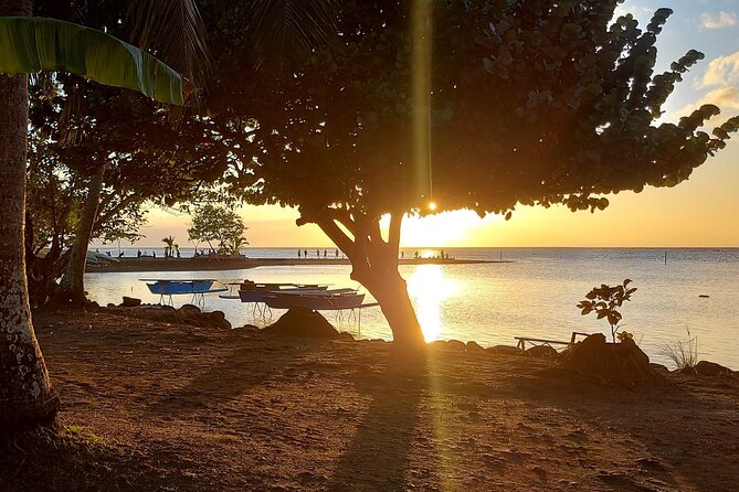 Shared 4.5h Circle Island Tour of Tahiti Nui by Lydia - Taharuu Beach and Tahiti’s surf coast