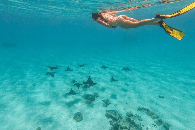SHARED FULL DAY CULTURAL & LAGOON TOUR - Bora Bora Cultural Lagoon Tour - Coral gardens and several snorkeling locations