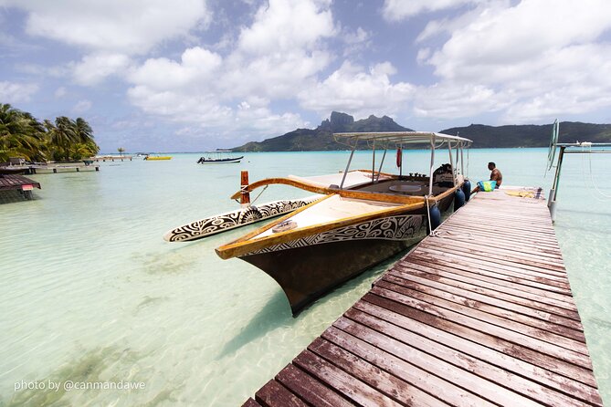 SHARED HALF DAY LAGOON TOUR - Bora Bora Cultural Lagoon Tour - Watching black tip and lemon sharks