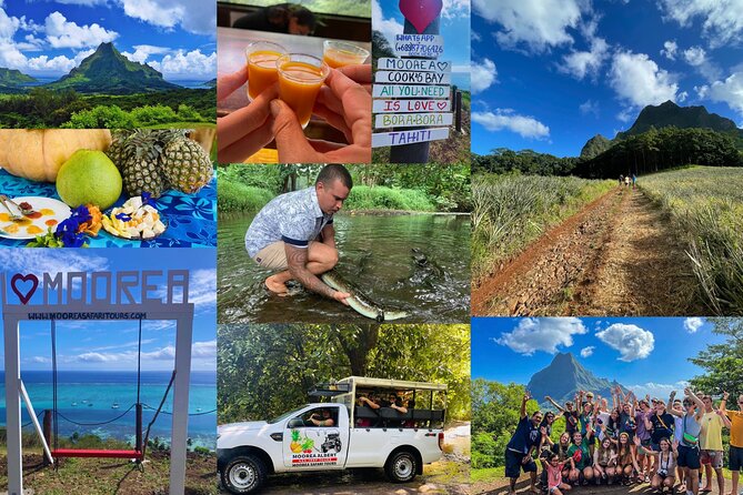 Shared Transfer: Hotel or Cruise Port to Tahiti Airport - Communication is the weak spot