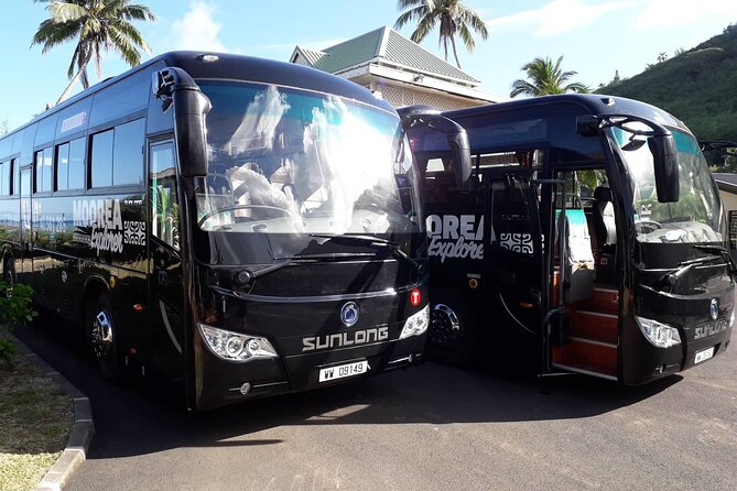 Shared Transfer : Moorea Airport (or) Pier to Hotel - Why this $19 transfer is useful on Moorea