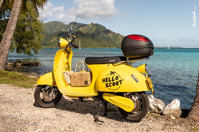 Shared Transfer : Moorea Airport (or) Pier to Hotel - Meeting your driver at the airport