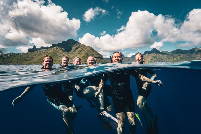 Shared Whale Expedition - Why a six-person boat changes the experience