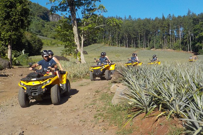 Small Combo 2h30 Quad + 1h Jetski - The 2.5-hour quad ride through Opunohu