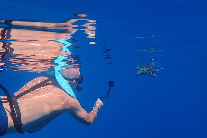 Small group snorkeling (5 people max): Turtles at 7:30am - Captain Benoit’s guiding style