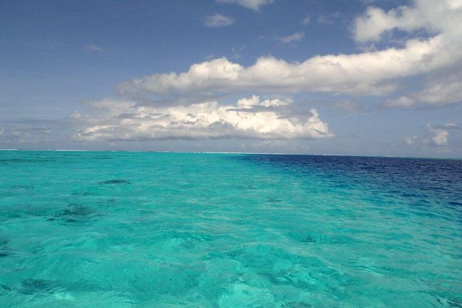 Small group snorkeling (5 people max): wrecks & tropical fishes at 1:00pm - The 10-minute boat ride from Marina Taina