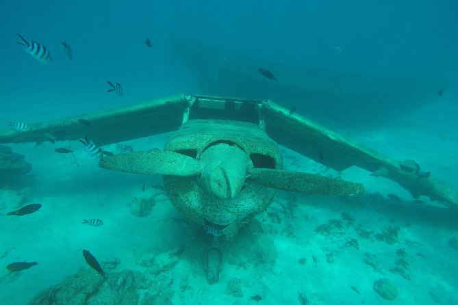 Small group snorkeling (5 people max): wrecks & tropical fishes at 1:00pm - Who should book this experience?