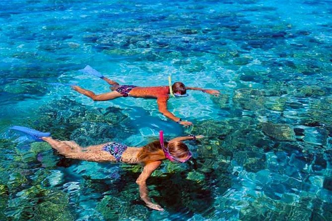 Small group snorkeling (5 people max): wrecks & tropical fishes at 10:30am - Why the five-person limit matters