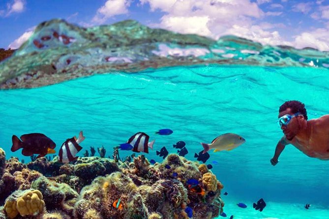 Small group snorkeling (5 people max): wrecks & tropical fishes at 10:30am - Free underwater photos after the swim