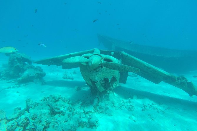 Small group snorkeling (5 people max): wrecks & tropical fishes at 3:30pm - Three wrecks inside Tahiti’s Aquarium