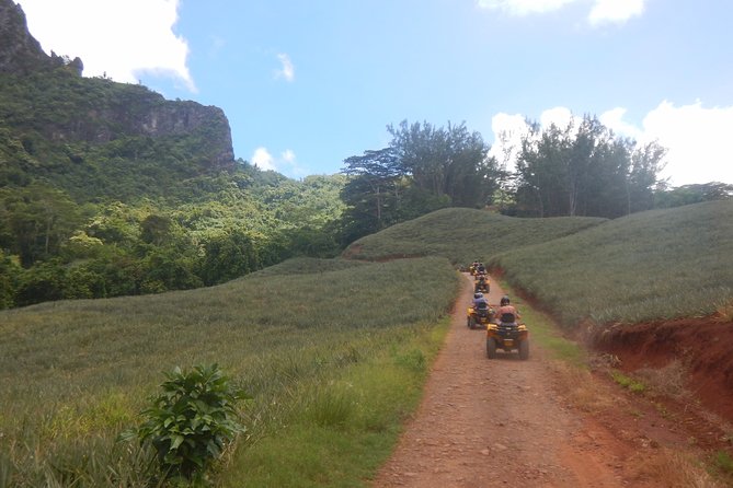 Small Magic Combo 3h30 of Quad + 1H00 of Jetski - Pineapple fields and Moorea’s agricultural side