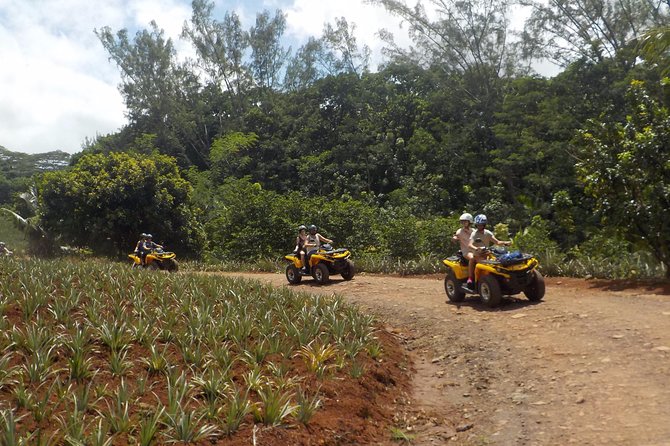 Small Quad Tour 2h30 Quad excursion in Moorea (single or two-seater) - Key points to know before booking