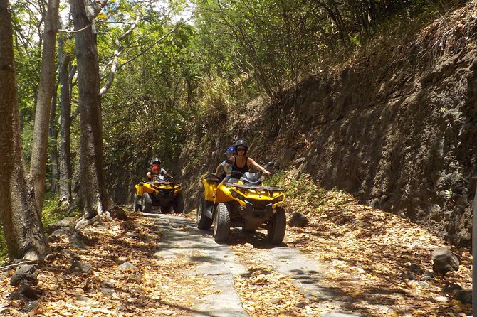 Small Quad Tour 2h30 Quad excursion in Moorea (single or two-seater) - Belvedere lookout above Cook and Opunohu bays