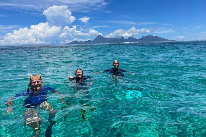 Snorkeling EN Small Group Tour in Tahiti - Weather, sea conditions, and wildlife expectations